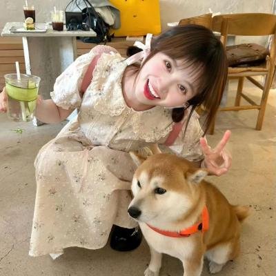 当爱未成往事